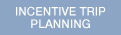 Incentive Trip Planning
